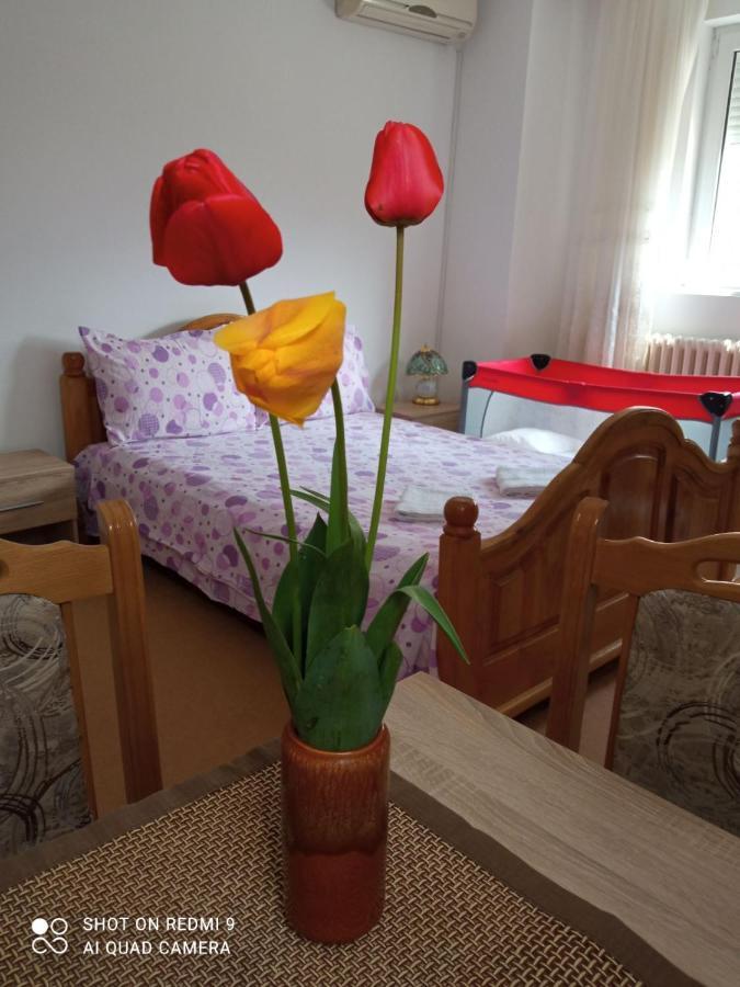 Apartman Andelina Vrnjačka Banja المظهر الخارجي الصورة