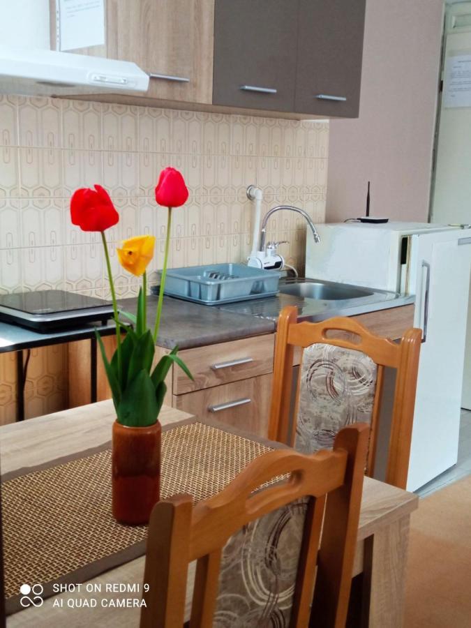 Apartman Andelina Vrnjačka Banja المظهر الخارجي الصورة