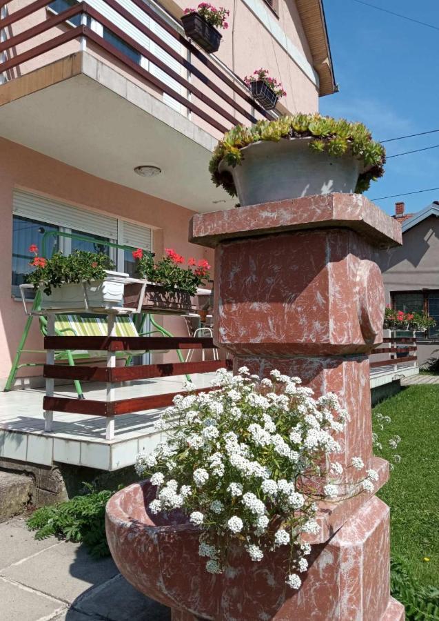 Apartman Andelina Vrnjačka Banja المظهر الخارجي الصورة
