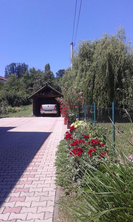 Apartman Andelina Vrnjačka Banja المظهر الخارجي الصورة