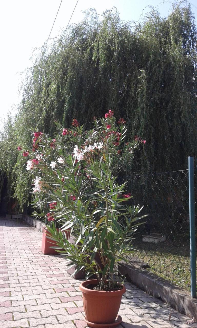 Apartman Andelina Vrnjačka Banja المظهر الخارجي الصورة