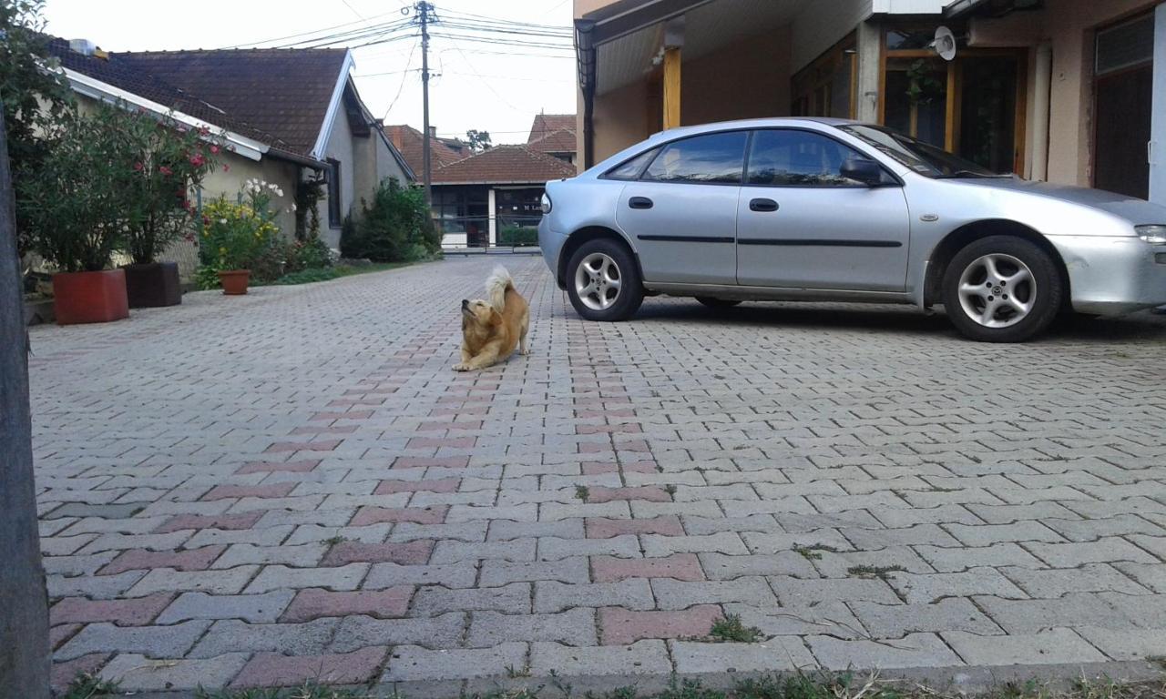 Apartman Andelina Vrnjačka Banja المظهر الخارجي الصورة